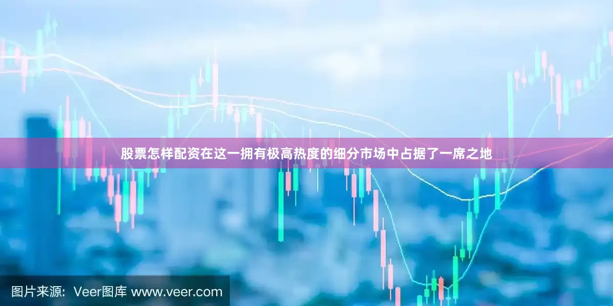 股票怎样配资在这一拥有极高热度的细分市场中占据了一席之地