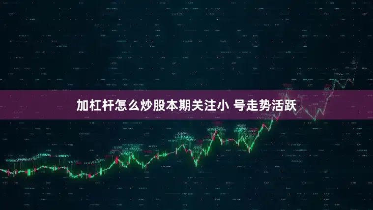 加杠杆怎么炒股本期关注小 号走势活跃