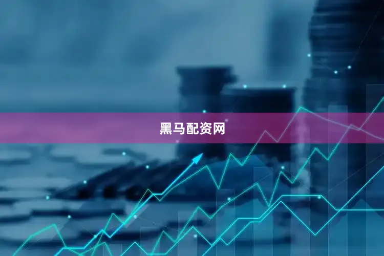 黑马配资网