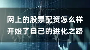 网上的股票配资怎么样开始了自己的进化之路