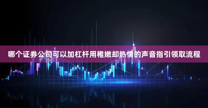 哪个证券公司可以加杠杆用稚嫩却热情的声音指引领取流程